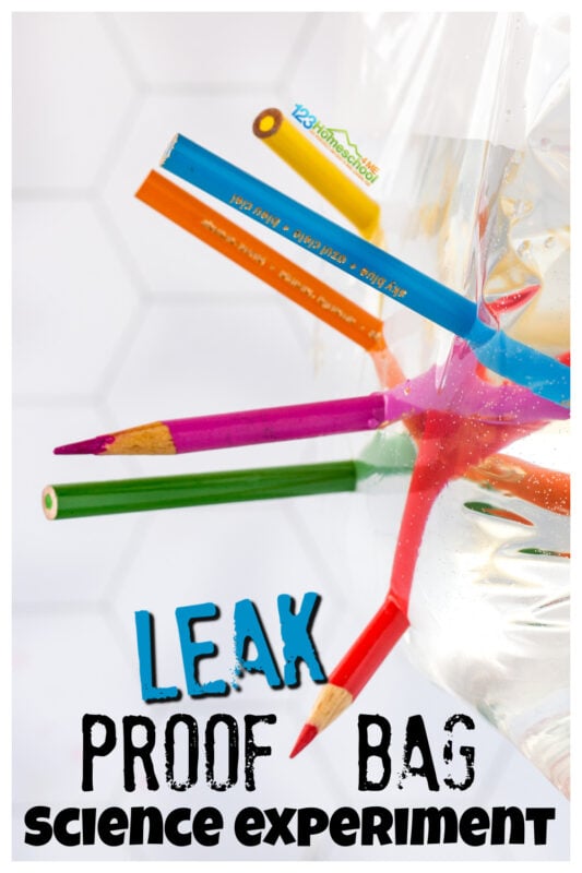 The goal of an amazing science experiment for kids is to grab kids attention and make them wonder why did that happen, how could that work, and I want to try that! This leak proof bag is such a simple science experiment for kids that explores polymers. What's best is this amazing science experiment with everyday materials! Try this water experiment with kids of all ages from toddler, preschool, pre-k, kindergarten, first grade, 2nd grade, 3rd grade, and 4th graders too.