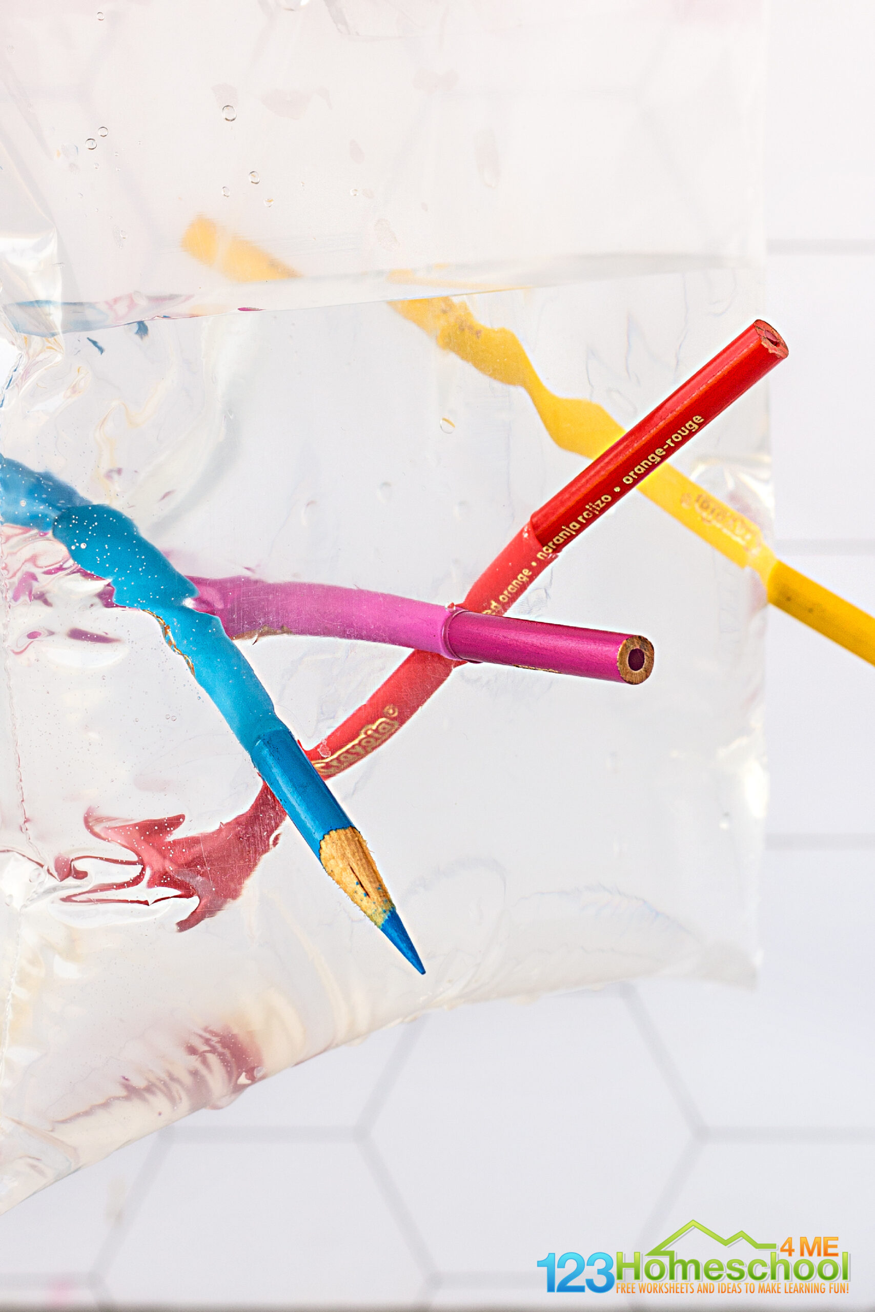 Leak Proof Bag Amazing Science Experiment with Everyday Materials