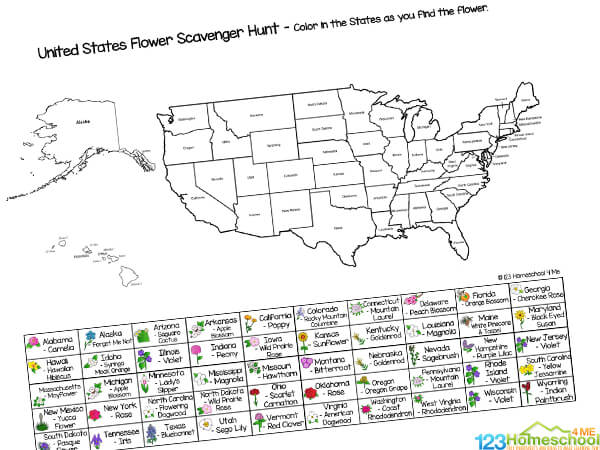 American Symbols for Kids