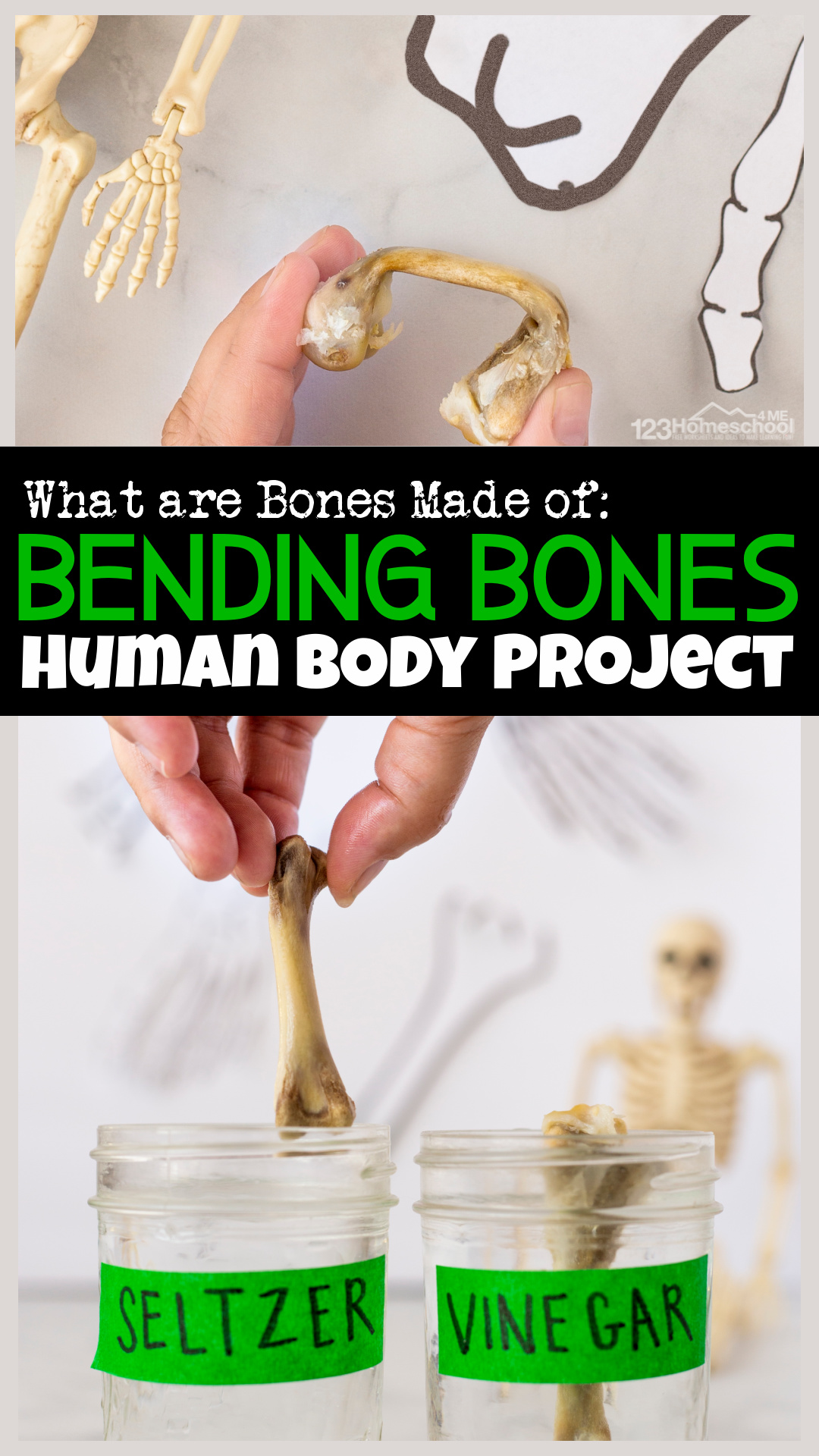 🦴 Bending Bones - Human Body Experiment Removing Calcium for Kids