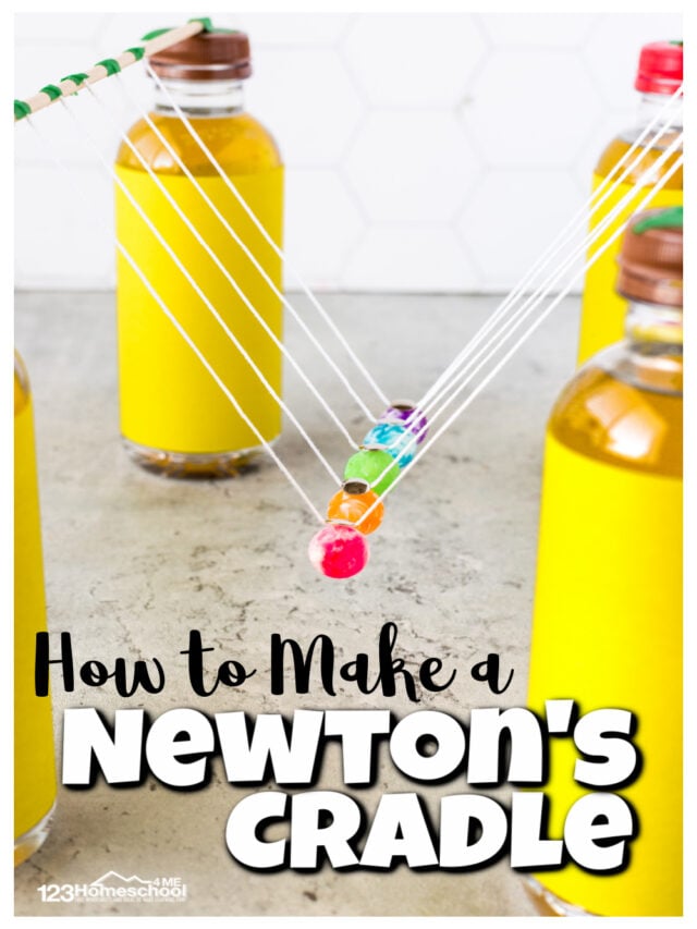 Newton's Cradle Experiment for Kids 123 Homeschool 4 Me