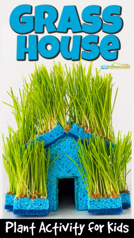 This outrageosusly cool grass house is not only easy-to-make, but a fun plant activity for kids too! This seed activities for kindergarten, preschool, pre-k, toddler, first grade, and 2nd graders allows children to learn about seeds, germination, growing plants, and is a fun STEM activity too! All you need are a few simple materials to make this summer activity for kids along with your plant lesson, spring theme, and more!