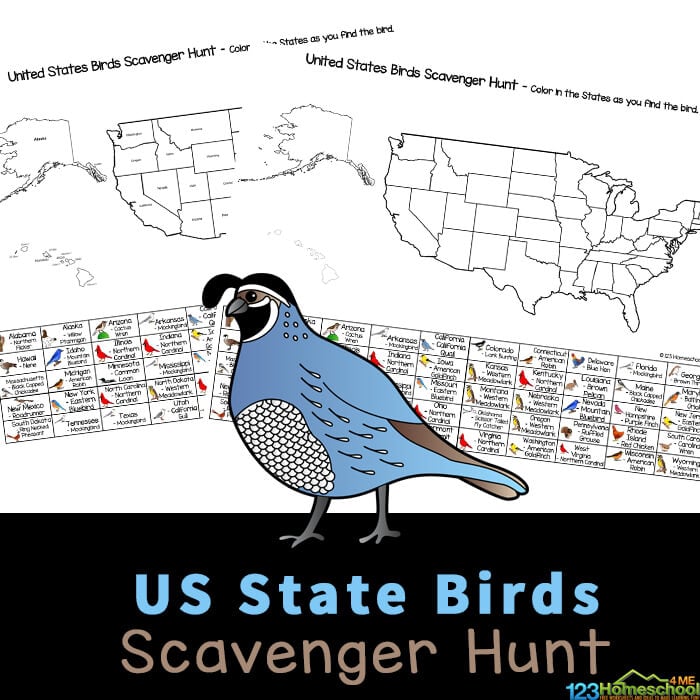 FREE USA State Bird Scavenger Hunt Printables for Kids