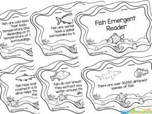 🐠 Fin-tastic Fish Facts: A Color &amp; Learn Reader for Kids!