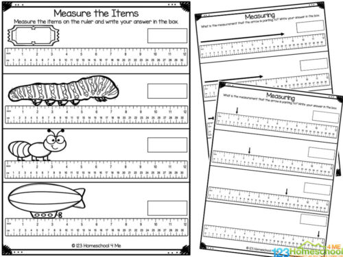 📏 FREE Printable Measurement Kindergarten Worksheets