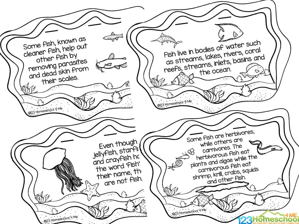 🐠 All About Fish Facts for Kids Printable Reader to Color & Learn