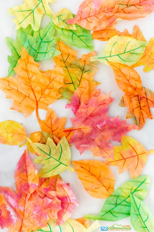 Autumn Leaves Craft