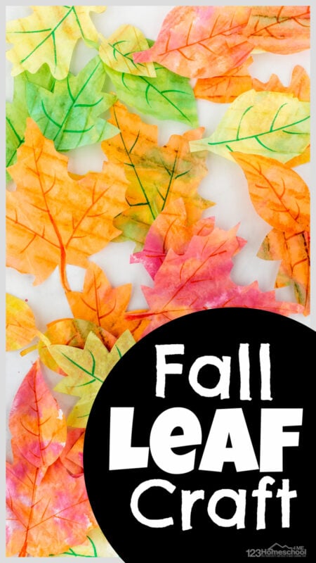 Celebrate Autumn with a beautiful fall leaves craft making simple, but stunning leaf crafts using coffee filters to make vibrant suncatchers!