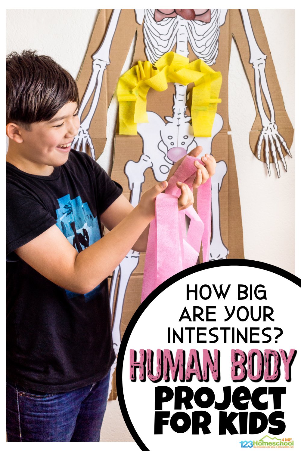 How Long are the Intestines for Kids Digestive System Experiment