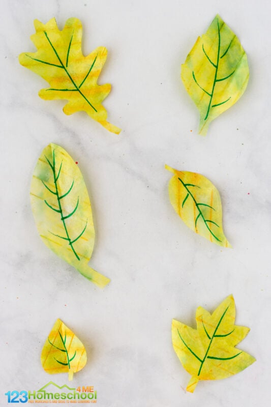 leaf projects for preschoolers