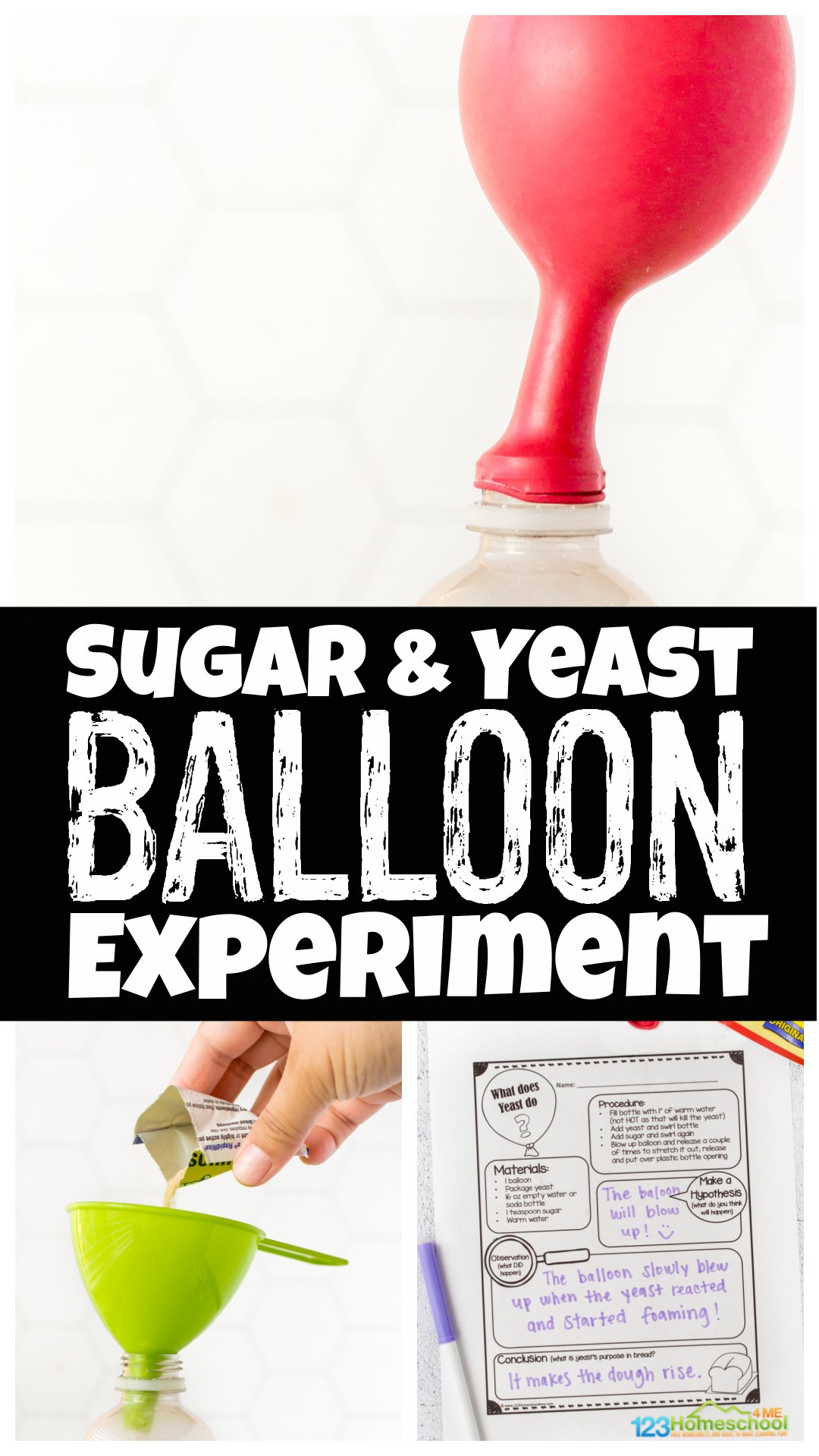 🎈 Yeast Balloon Experiment for Kids with FREE Worksheet 🎈 Yeast Balloon Experiment for Kids with FREE Worksheet