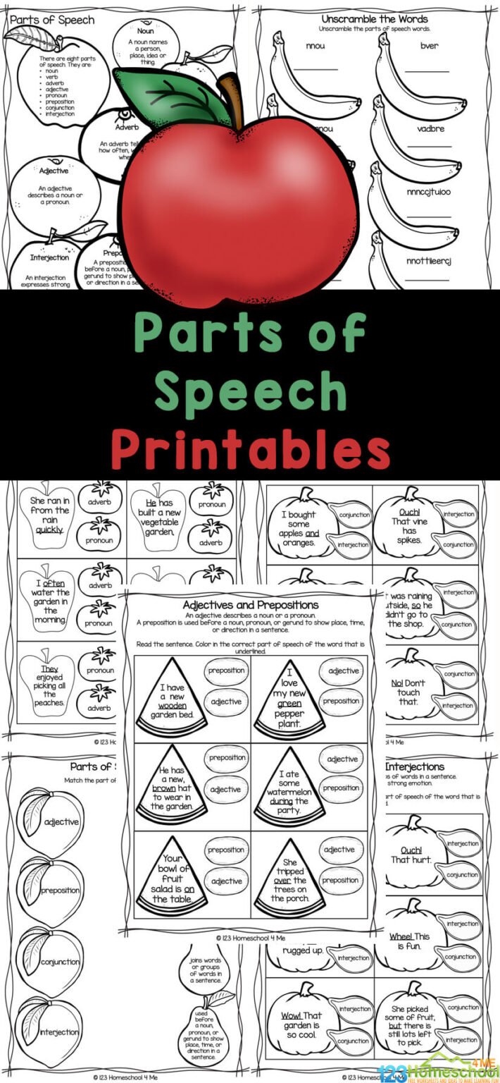FREE Parts of Speech Exercises Worksheets with Answers PDF