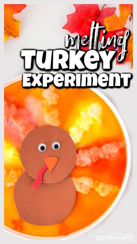 This simple thanksgiving science experiment featuring a melting turkey is a great way to enagage young kids and get them curious and excited about science.  This november science experiment for toddler, preschool, pre-k, kindergarten, first grade, 2nd grade, and 3rd graders allows children to explore the simple chemical reaction of baking soda and vinegar while having fun with a turkey activity for kids!