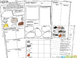 FREE Types of Rocks Worksheets (inlcudes Rock Life Cycle Diagram)