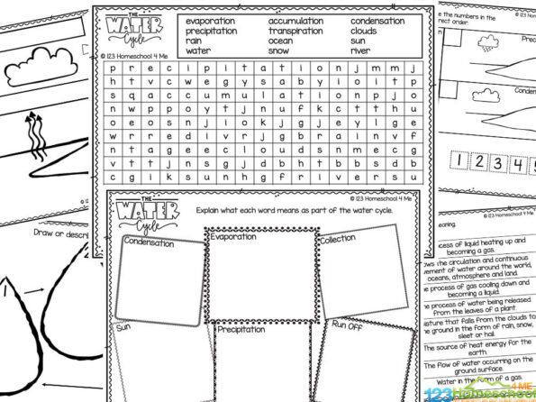 💧 FREE Printable Water Cycle Worksheets for Kids