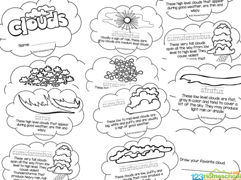 ☁ FREE Printable Types of Clouds for Kids Mini Book
