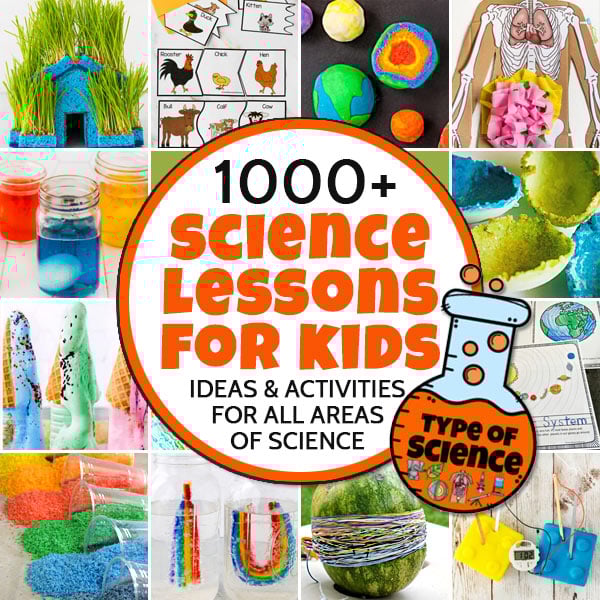 Engaging, FREE science lessons filled with experiments and projects for kids of all ages arranged by type of science.