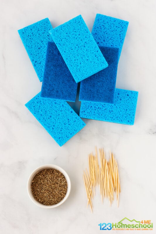 4-8 plain sponges scissors toothpicks Hot glue gun (optional but makes construction quick) Plate seeds (any grass seed that goes quickly such as wheat berries, chia, or alfalfa seeds sprout quickly)