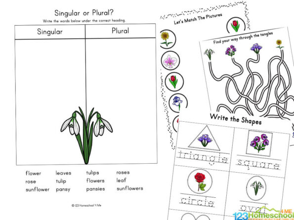 🌻 FREE Printable Flower Worksheets for Kids