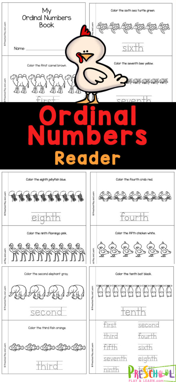 FREE Printable Ordinal Numbers 1-20 Worksheets For Grade 1