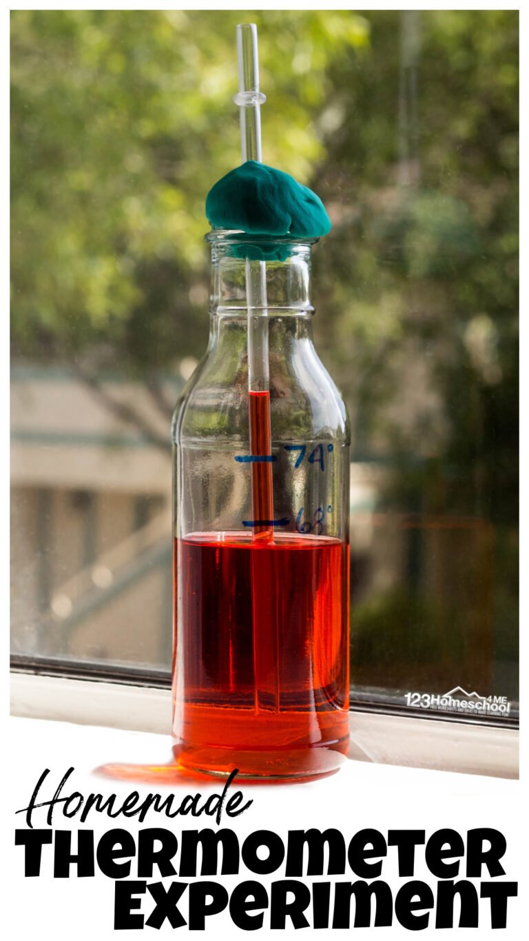 🌡 DIY Homemade Thermometer Science Experiment for Kids