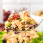 Chicken Salad Recipe