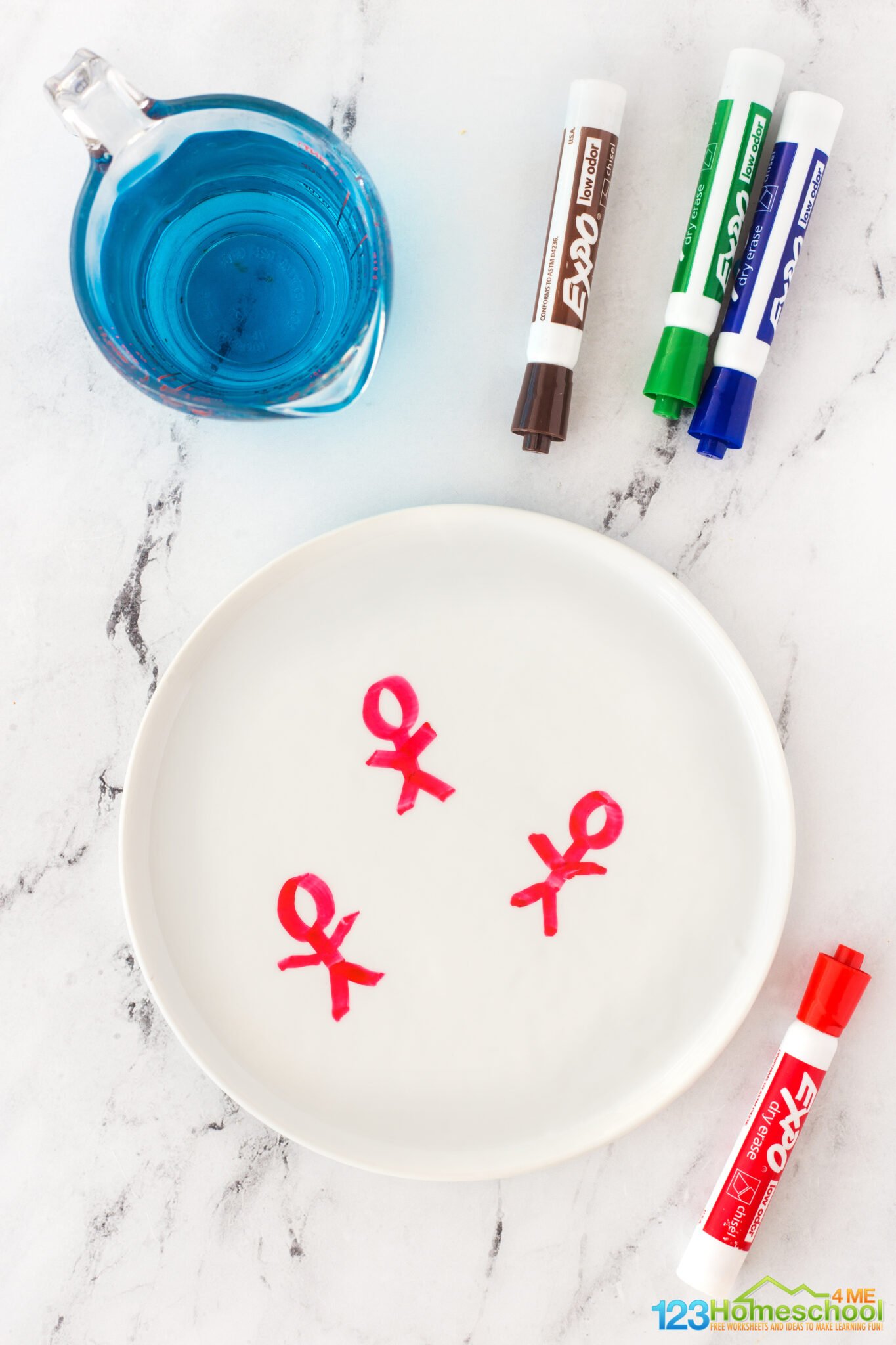 Amazing Dry Erase Marker Experiment for Kids