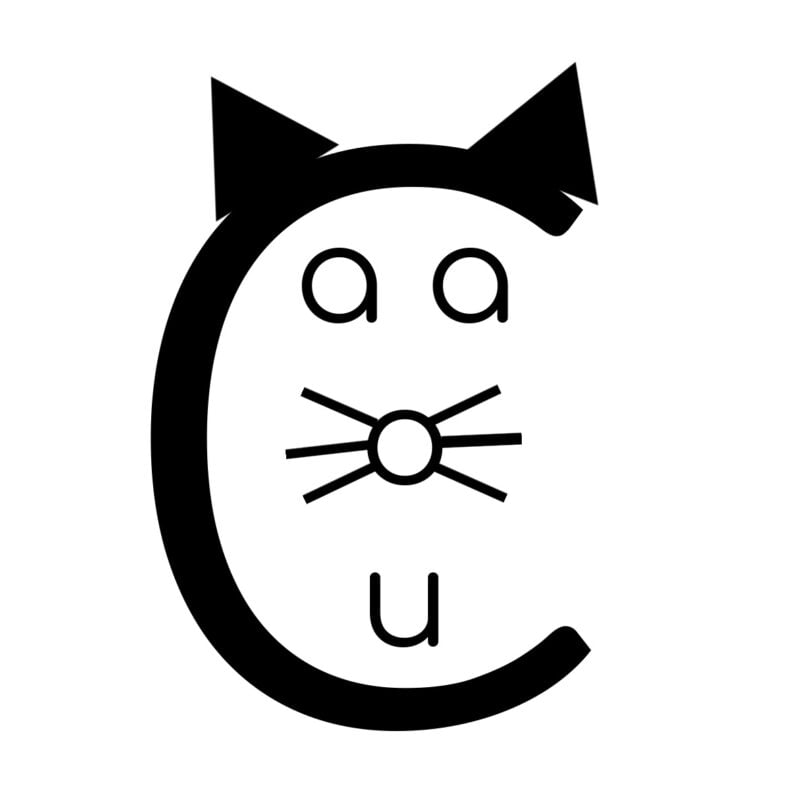 FREE Printable Hard c and Soft c Words GAME