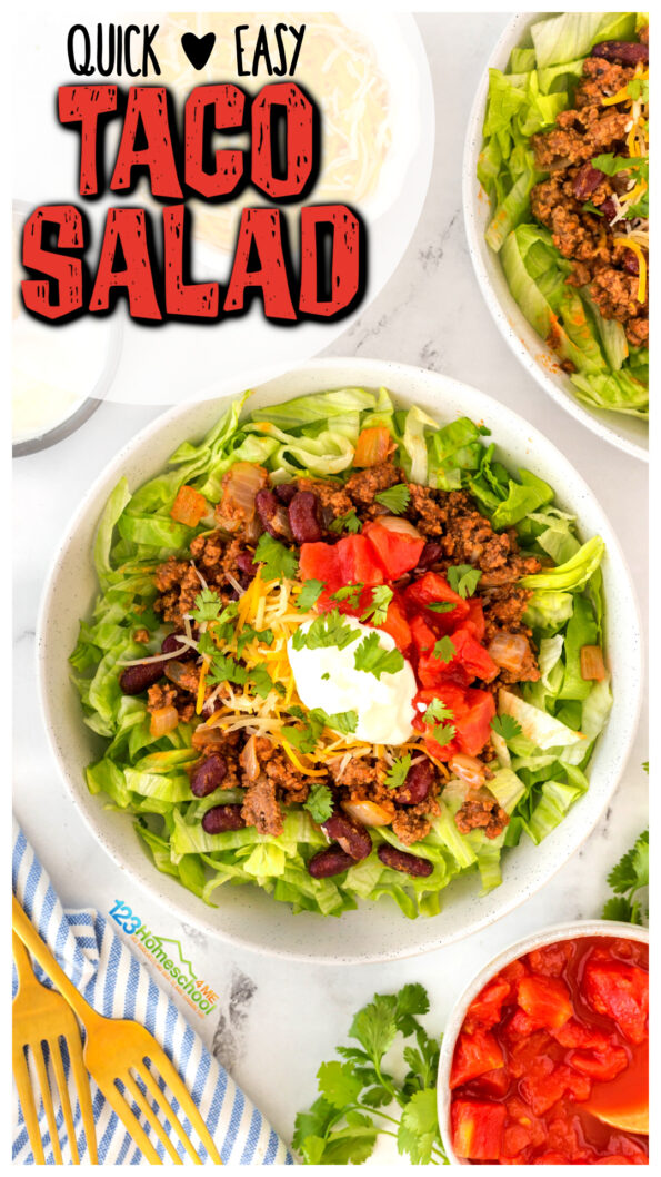 Easy Ground Beef Taco Salad Recipe