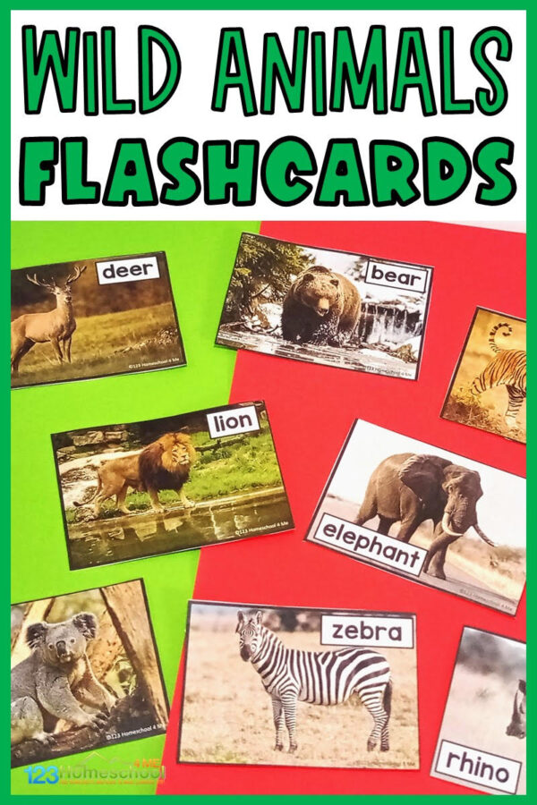 FREE FREE Printable Music Note Flashcards for Kids