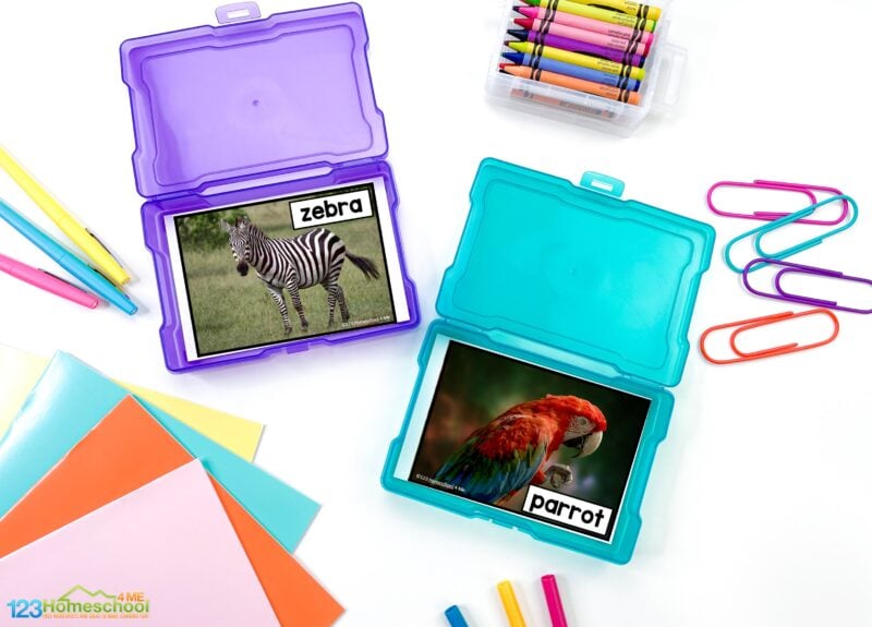 Grab these wild animal flashcards with real photos. Use free printable flash cards in a matchig game or to learn 32 animal names!