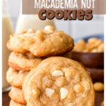 I don't think I tried a white chocolate macademia treat until I was in college. I guess my mom just stuck to the classics. But once I tried a macademia cookie recipe I was hooked on these delightful, sweet chocolate and nut cookies. White chocolate is just so creamy and satisfying! If you've only ever tasted a store-made macademia nut recipes you are missing out!  Homemade versions are not only better for you as they are made without preservatives, fillers, and other junk, but they taste better too. Try our families favorite white chocolate macademia cookie recipe and you'll be hooked!