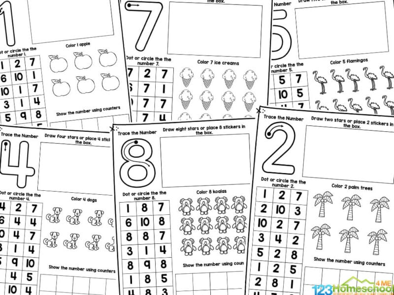 Calling all pre-K and kinder teachers! Get ready to engage your little learners with these AMAZING number recognition printables! No need to stress about prep time or breaking the bank for color ink - these printables are completely black and white! Perfect for reducing printing costs while still keeping your students excited about learning their numbers 1 through 10. Whether you're teaching a number or counting unit or looking for a fun activity for your math center, these worksheets have got you covered. Your students will absolutely LOVE working through these interactive number recognition exercises! Ready to take your number lessons to the next level? Grab these free printables now and watch your little ones master their numbers like never before! 