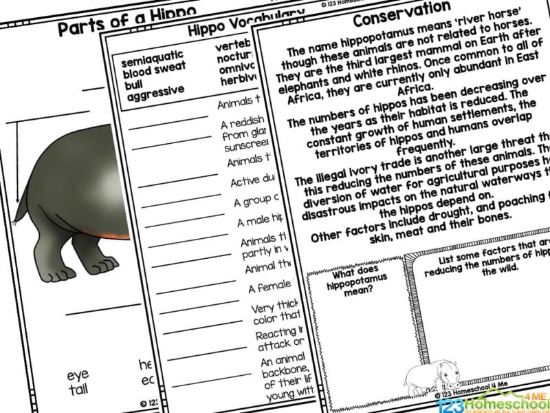 hippo facts for kids life cycle of a hippo
Hippopotamus life cycle coloring page
Cut and Paste hippo stages and hippo coloring sheet
Create a hippopotamus life cycle mini book - choose black and white or color option
Fill in what you learned about the life cycle of a hippopotamus booklet
Label the parts of a hippo - eye, tail, head, ear, nostril, food
Hippo research and writing prompts