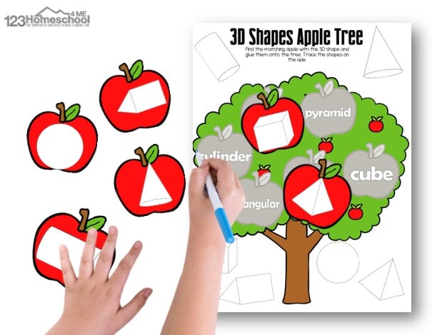 Are you looking for a fun and educational activity to teach kids about 3D shapes? You’re in the right place! I’ve got an awesome free printable math craft that not only helps kids learn 3D shapes but also keeps them engaged and entertained. Whether you are a parent, teacher, or homeschooler - you will love this tip on how to teach 3d shapes with grade 1, grade 2, and grade 3 students. Let’s dive into our fun fall apple tree craft that doubles as a math activity - a 3D shape craft.