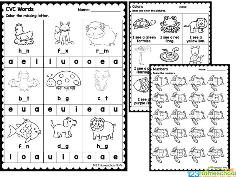 Color the beginning sound of each picture.
Trace the numbers.
Count the animals and color the correct number.
Add and color the correct number.
Write the before and after numbers.
Read and color the pictures the correct color.
