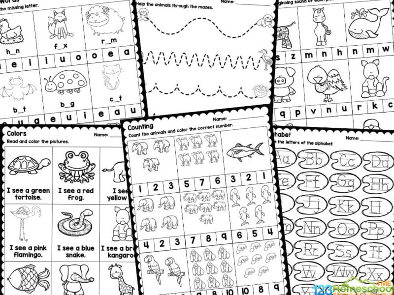 Are you looking for engaging and educational animal activities for your preschoolers and kindergarteners?  Our collection of fun, preschool animal worksheets is the perfect resource for parents, teachers, and hoemschoolers. These animal worksheets provide an interactive way for children to practice and review essential math and literacy skills that are crucial for their development. With colorful, animal-themed activities, kids will find joy in learning to recognize letters, numbers, and much more.