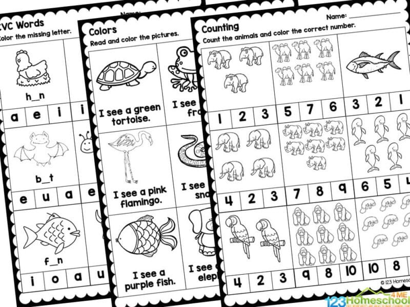 In this no-prep printable pack, there are multiple activities that are based on many different math and literacy skills. The pages of preschool worksheets include kid-favorite animals such as turtle, walrus, otter, tiger, camel, seahorse, hedgehog, hog, monkey, lion, giraffe, snake, penguin, elephant, bats, and more!