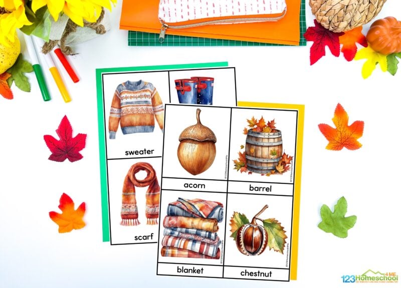 Fall is in the air, and it’s the perfect time to bring some seasonal fun into your toddlers, preschoolers, kindergartners, and grade 1 students day. These autumn flashcards printable are just the thing! Not only are they cute and detailed with beautiful watercolor images of pumpkins, leaves, and acorns, but they’re also a great way to sneak in some learning without it feeling like schoolwork.
