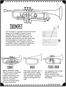 The trumpet is a popular brass instrument known for its bright, powerful sound. Typically about 21 inches long, it has a distinctive shape with a flared bell. The trumpet was invented over 500 years ago and has played a crucial role in various musical genres, from classical to jazz. Its versatility makes it ideal for orchestras, bands, and solo performances alike.