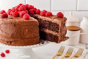 Satisfy your sweet tooth with our easy chocolate cake recipe, topped with homemade chocolate frosting—perfect for any celebration or just because!