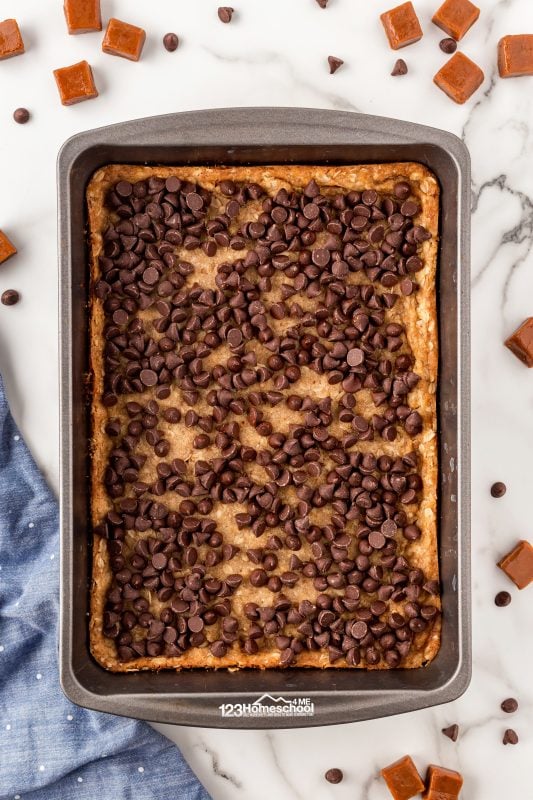 chocolate chip bars