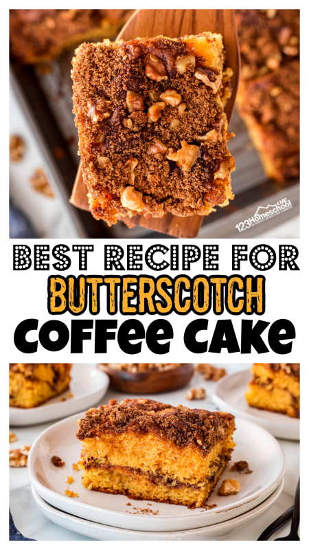 Are you looking for an easy, homemade coffee cake? You will love our delicious Butterscotch Coffee Cake! This coffee cake recipe uses the convenience of a cake mix, butterscotch pudding to make it extra moist, and seasoning for those famous cinnamon and sugar notes. This is seriousl the best recipe for coffee cake! Are you looking for an easy, homemade coffee cake? You will love our delicious Butterscotch Coffee Cake! This coffee cake recipe uses the convenience of a cake mix, butterscotch pudding to make it extra moist, and seasoning for those famous cinnamon and sugar notes. This is seriousl the best recipe for coffee cake!