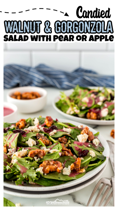 Ready to elevate your salad game? Try this delicious candied walnut and gorgonzola salad that’s perfect for shaking things up! The combination of crunchy walnuts and creamy gorgonzola takes center stage, but feel free to get creative by adding cranberries, pears, or apples for an extra burst of flavor. Let’s get tossing and make every meal exciting! Ready to elevate your salad game? Try this delicious candied walnut and gorgonzola salad that’s perfect for shaking things up! The combination of crunchy walnuts and creamy gorgonzola takes center stage, but feel free to get creative by adding cranberries, pears, or apples for an extra burst of flavor. Let’s get tossing and make every meal exciting!