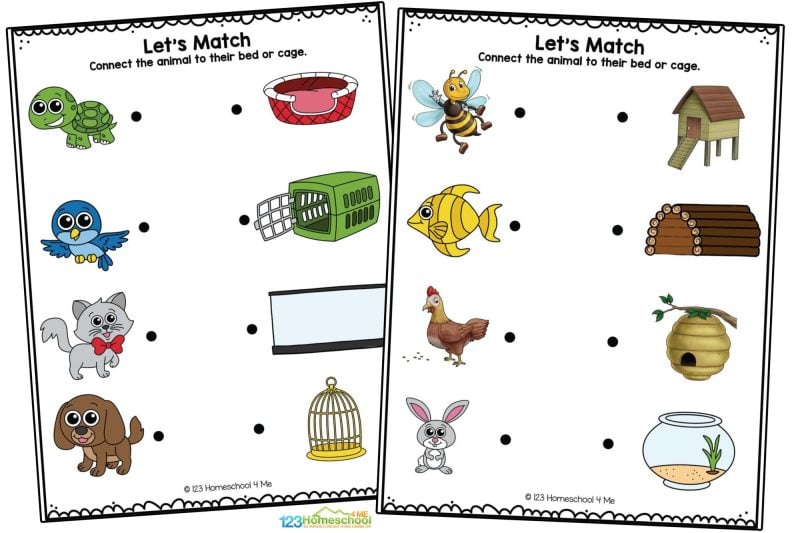 Animal matching worksheets Draw a line to connect the animal to their bed or cage