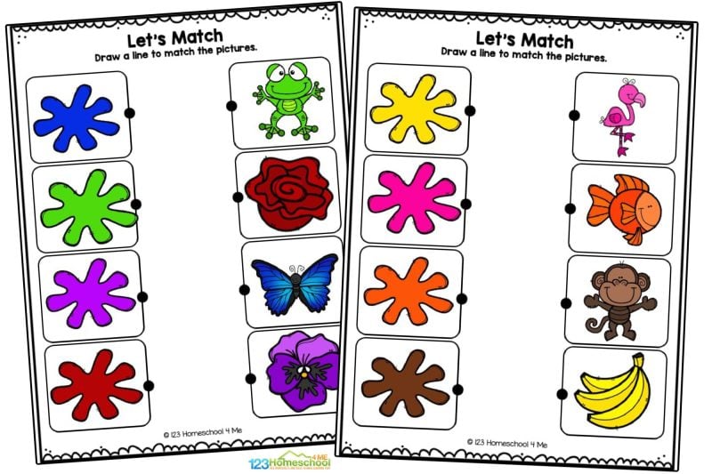 Color matching worksheets Match the color scribble to the correct picture