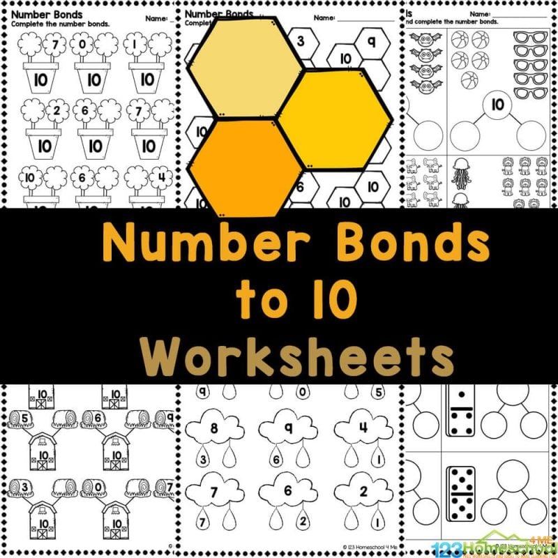Build a strong math foundation for your little learners with our free Number Bonds to 10 Worksheets, designed for kindergarten students to make learning fun and easy!