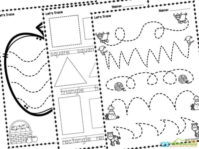 Are you looking for a fun and engaging way for your preschoolers to develop their fine motor skills? Look no further! Our free preschool tracing worksheets are the perfect solution. With 15 interactive tracing pages, children will have a blast as they practice tracing lines, shapes, animals, and more. These activities not only make learning fun but also help strengthen the small muscles in their hands that are crucial for tasks like writing, coloring, and even fastening buttons. Plus, these worksheets are easy to download and use at home or in the classroom. Whether it's for a rainy day activity, preparation for kindergarten, or just a fun way to pass the time, your little ones will love the variety and creativity in each worksheet. Encourage your child's growth while having fun—download our tracing worksheets today and watch their confidence soar as they master each new challenge!