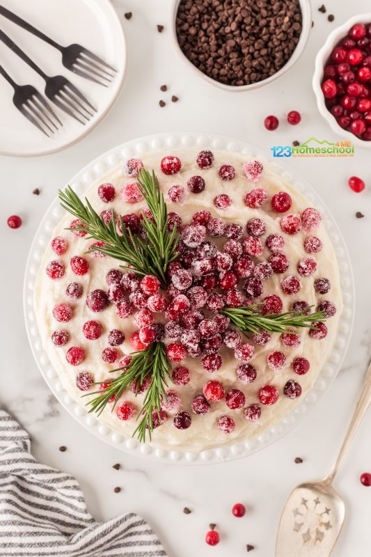 Chocolate cake with cranberries Decorate your gorgeous frosted cake by artfully placing fresh cranberries on top, accented with a touch of greenery. I used sprigs of pine from the back of our Christmas tree for a festive touch! Enjoy this delicious holiday treat!