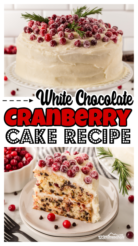 Indulge in the perfect holiday treat with our stunning white chocolate and cranberry cake! This exquisite dessert is incredibly moist and filled with a delightful balance of sweet and tart flavors. It’s not just a feast for the eyes—it’s a delicious recipe that the whole family will adore! Bring joy to your holiday gatherings with this show-stopping cake! Indulge in the perfect holiday treat with our stunning white chocolate and cranberry cake! This exquisite dessert is incredibly moist and filled with a delightful balance of sweet and tart flavors. It’s not just a feast for the eyes—it’s a delicious recipe that the whole family will adore! Bring joy to your holiday gatherings with this show-stopping cake!
